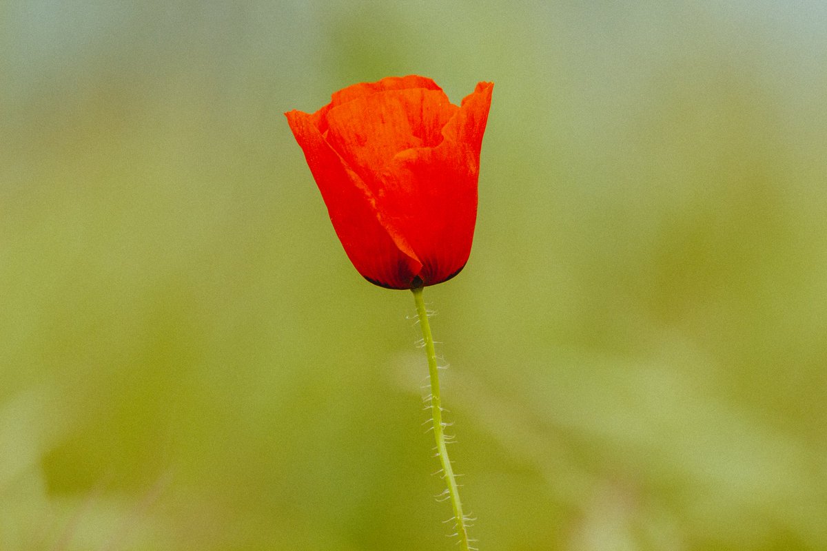 isro 🌵🎈 tweet media