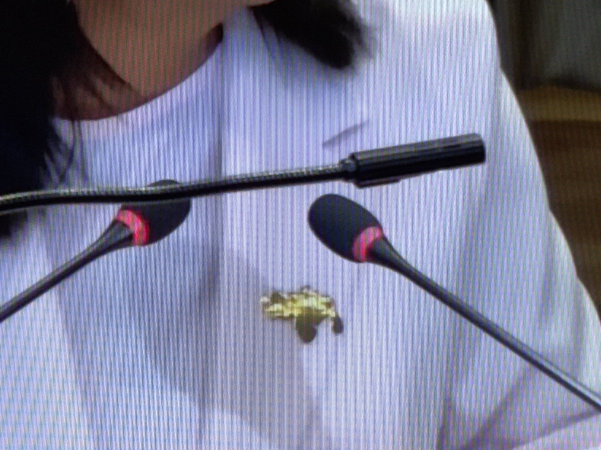 madeleintlSUR's tweet photo. Y con el pin de Venezuela toda, el territorio completo con la Guayana Esequiba la presidenta (E), Delcy Rodríguez, defiende los derechos historia de Venezuela y abraza la verdad de la Guayana Esequiba. https://t.co/T8Td7DbnHR