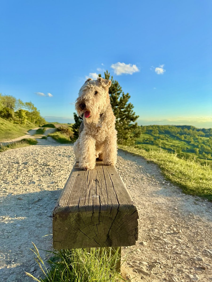 Bertie Lakeland tweet media