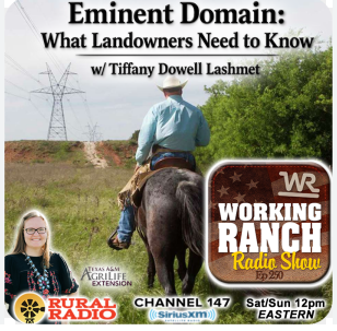TiffDowell's tweet photo. I was recently a guest on the Working Ranch Radio Show, where we had a conversation about eminent domain. We discussed where eminent domain authority comes from, how the process works, and key considerations for landowners across the country. 
https://t.co/n9P106jaVX https://t.co/3iPST3Qca8