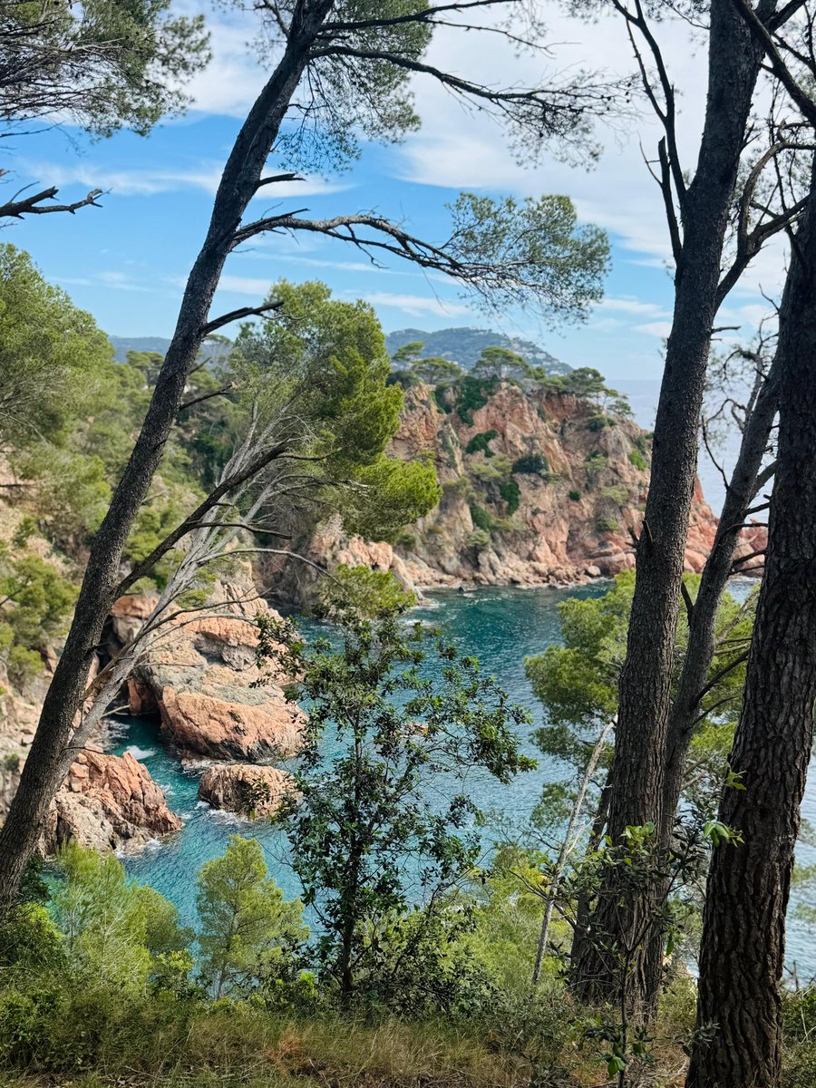 polsa95's tweet photo. Passeig de la Fosca a la Cala Massoni en un matí per a l'eternitat (i per fer-se totes les il·lusions possibles).

📷 @MasPlatero https://t.co/aF0mNL3Jjc