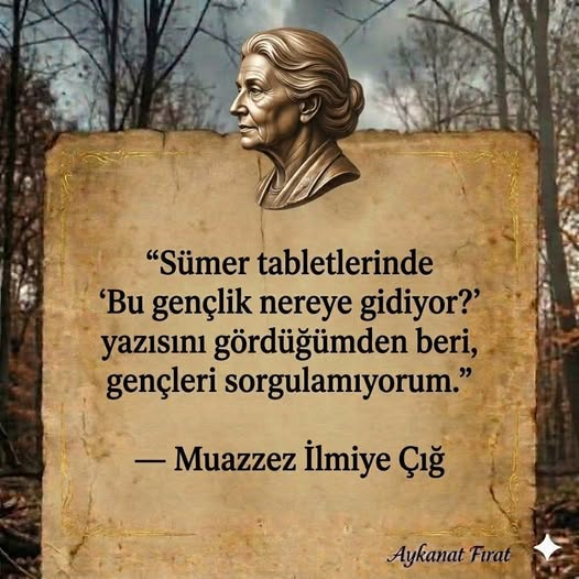 Ali Yonka tweet media