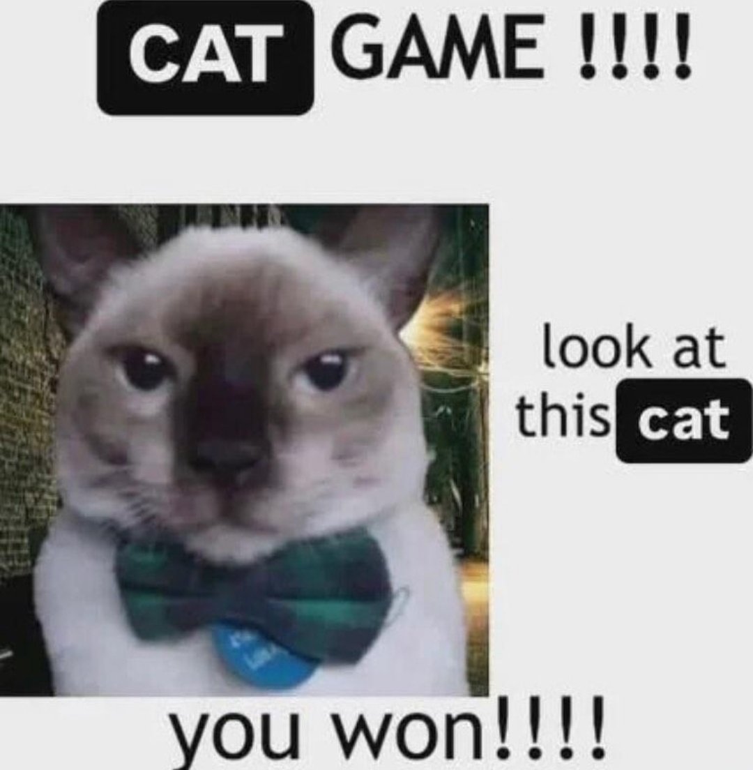 smol silly cat tweet media