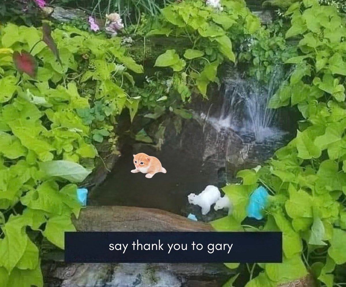 gary tweet media