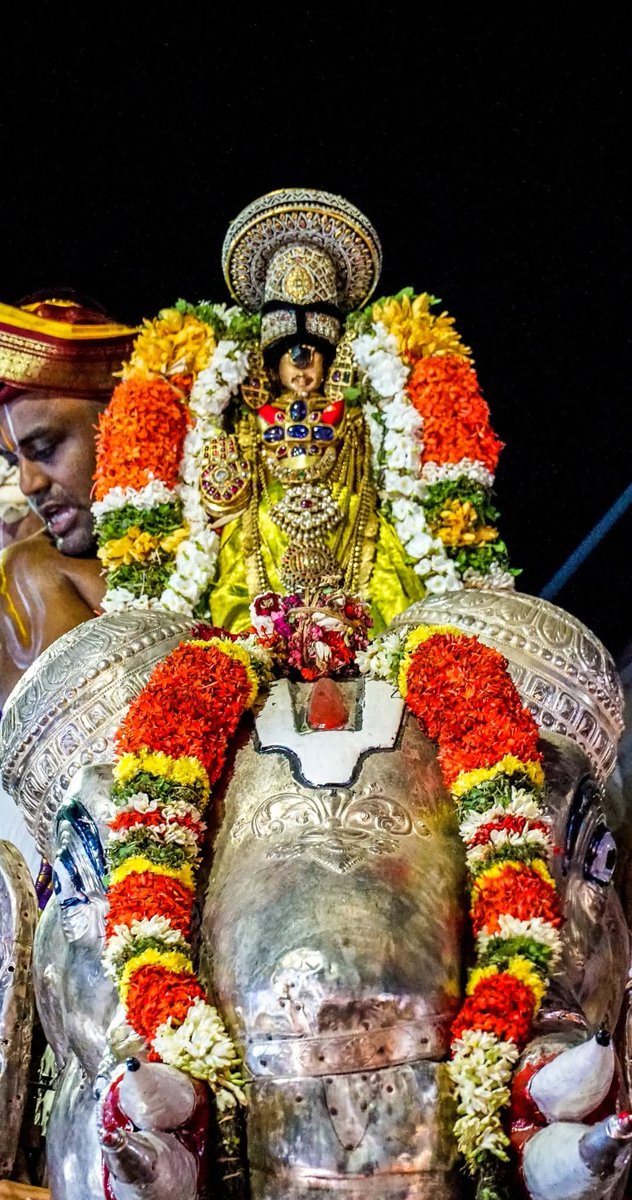 ThaayarS's tweet photo. ஸ்ரீரங்கம் அருள்மிகு அரங்கநாதசுவாமி திருக்கோயில் 

நம்பெருமாள் 
சித்திரை தேர் உற்சவம்
விருப்பன் திருநாள் (இன்று 11/05/2026, திங்கள் கிழமை )
ஆறாம் திருநாள் இரவு
வெள்ளி யானை வாகனம் 
திருவீதி புறப்பாடு https://t.co/2olz3f1hJa