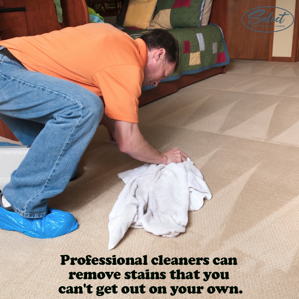 SelectCarpet's tweet photo. The pros have the right stuff! Trust on this one.  Call Select Carpet &amp; Upholstery Cleaning at (587) 290-2439 for a free estimate today! https://t.co/NSRdmCkBCr