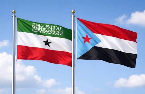 Dr. Ahmed Atef tweet media