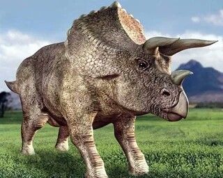 Triceratops tweet media
