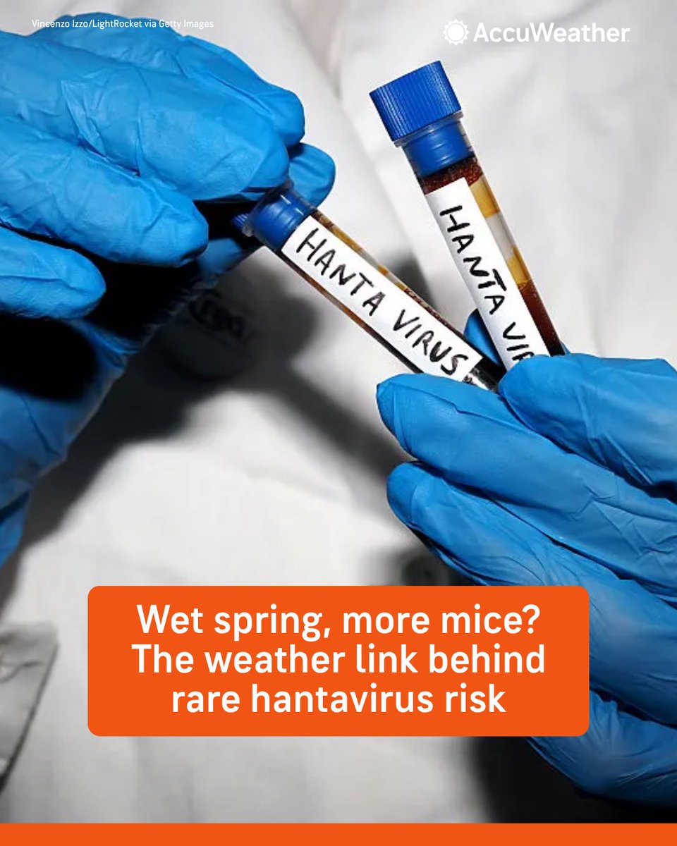 AccuWeather tweet media