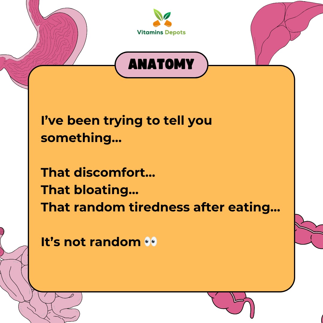 Vitaminsdepots's tweet photo. You’ve been blaming the food… but something deeper has been calling you.

#digestivehealth #GutHealth #healthfacts https://t.co/iGuSvUwGxd