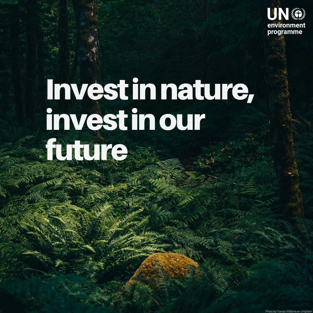 UN Environment Programme tweet media