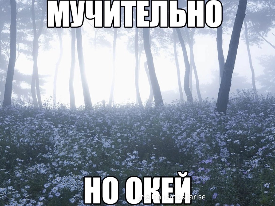 xeu_u's tweet photo. https://t.co/8fhApwbEE3