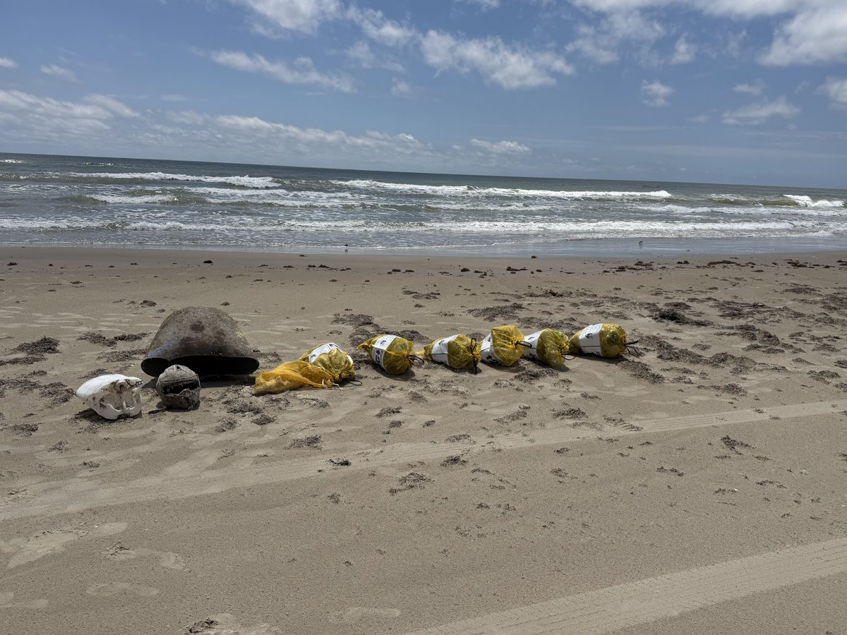 Badplastic20's tweet photo. PINS beach Tx, perfect beach day. 2 miles down. Easy cleanup and play. Grabbed a buoy and a lot of rope/nets. Big winds last night. #onemillionbags #tpwd . Do some community service. 6 bags of plastic today https://t.co/JaW91t7289