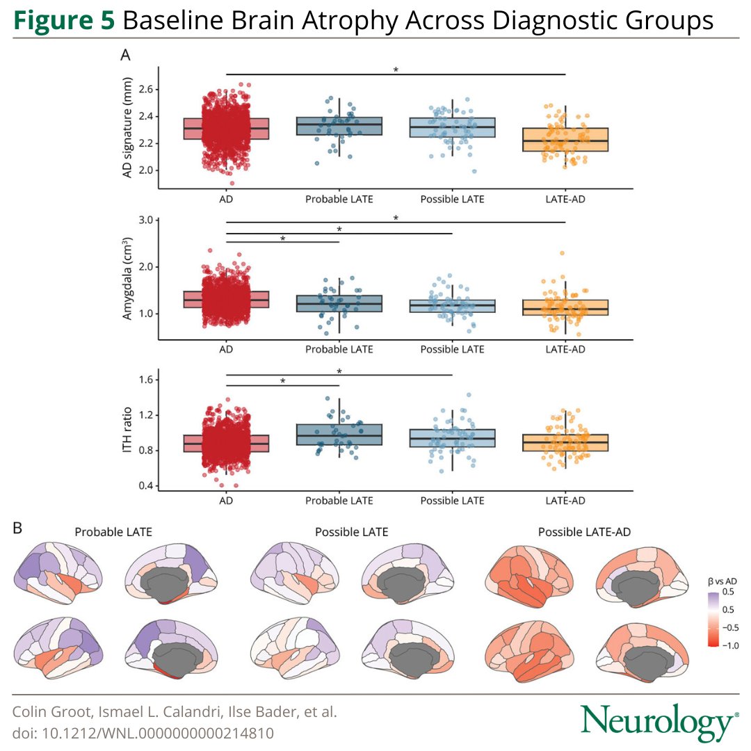 Neurology Journal tweet media