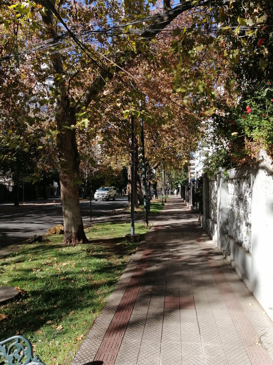 constantino mawromatis tweet media