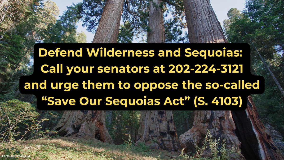 Wilderness Watch tweet media
