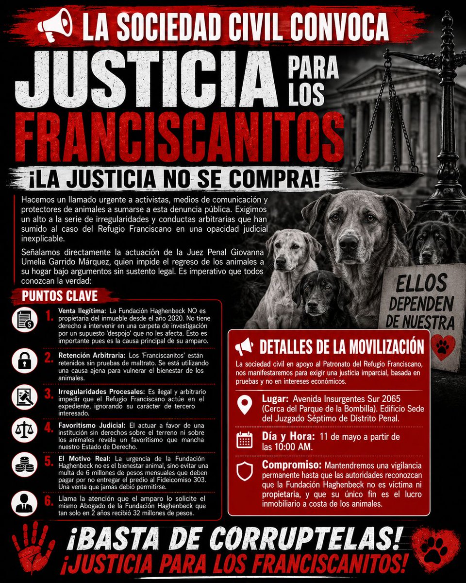 Frases Antitaurinas tweet media