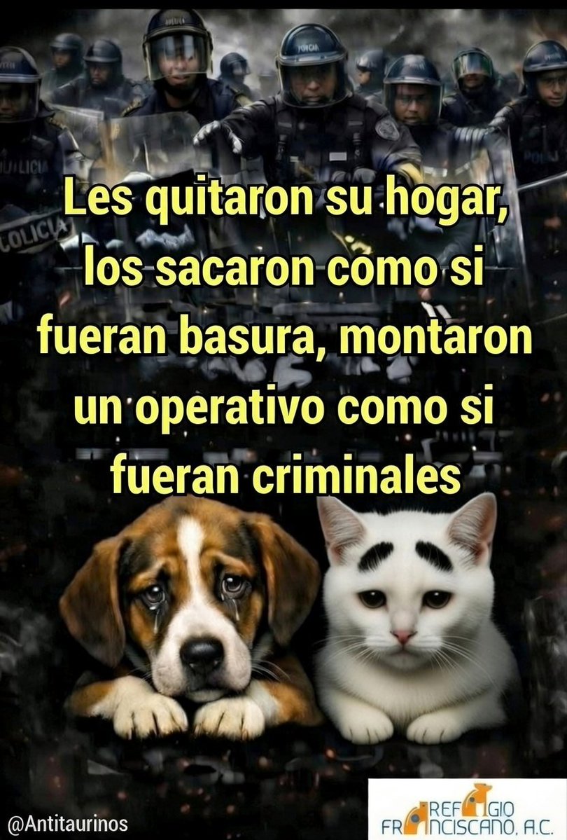 Frases Antitaurinas tweet media
