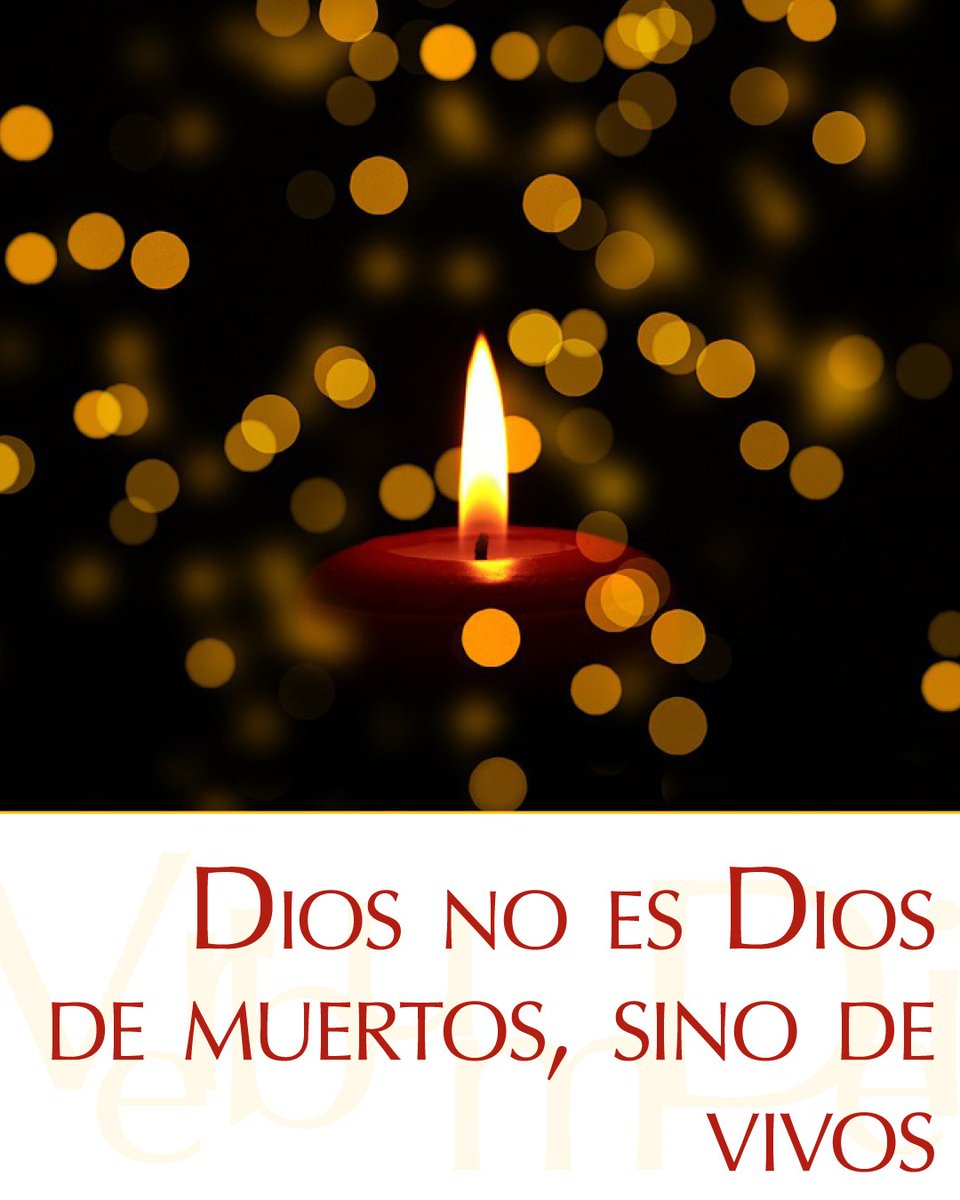 vaticannews_es's tweet photo. #3DeJunio ¡Buenos días! En este miércoles de la IX semana del #TiempoOrdinario compartimos el #EvangelioDeHoy según san Marcos 12, 18-27. Puedes leerlo aquí: https://t.co/Z8aTuRnOS3 https://t.co/qMyIhqCSEG