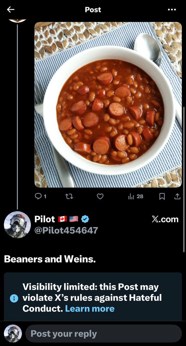 Pilot 🇨🇦🇺🇸 tweet media