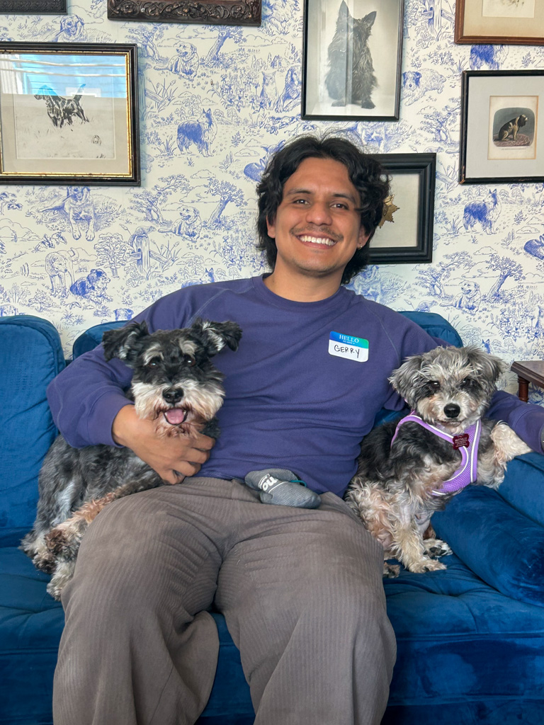 Muttville Senior Dog Rescue, San Francisco tweet media