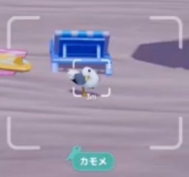 あむあむしろ👾🤍 tweet media