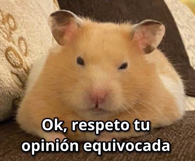 ✨ La_Molletes✨ tweet media