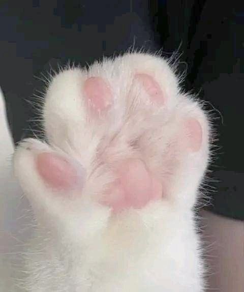 ‏𝒄𝒂𝒌𝒆. .‎🍓 tweet media