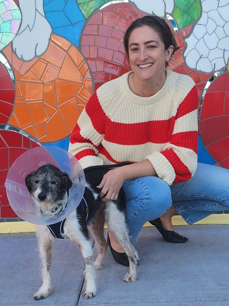 Muttville Senior Dog Rescue, San Francisco tweet media