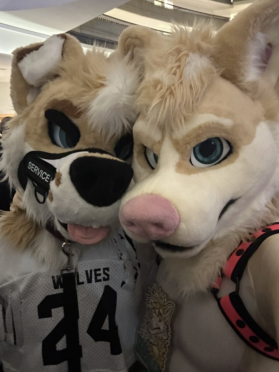 Reefruff Sticker BLONDES 👏 STILL 👏 DO 👏 IT 👏 BETTER 👏 🐶: @ReefRuff