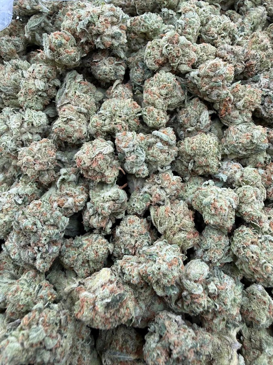KushWorld tweet media