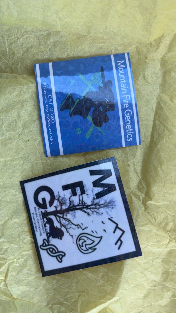 bud_r0gerz's tweet photo. Mail call!!! Snagged the Royal Tagalongz 👑🍪and Death is King 💀👑 for #tellemtuesday and got a surprise! 💪 Thrilled to be selected as a tester for @Real_MFG_Mtn’s seeds. Thank you for the trust — it’s genuinely appreciated. Looking forward to putting them through their paces and giving solid feedback. 🌱 #whiteweed #honored