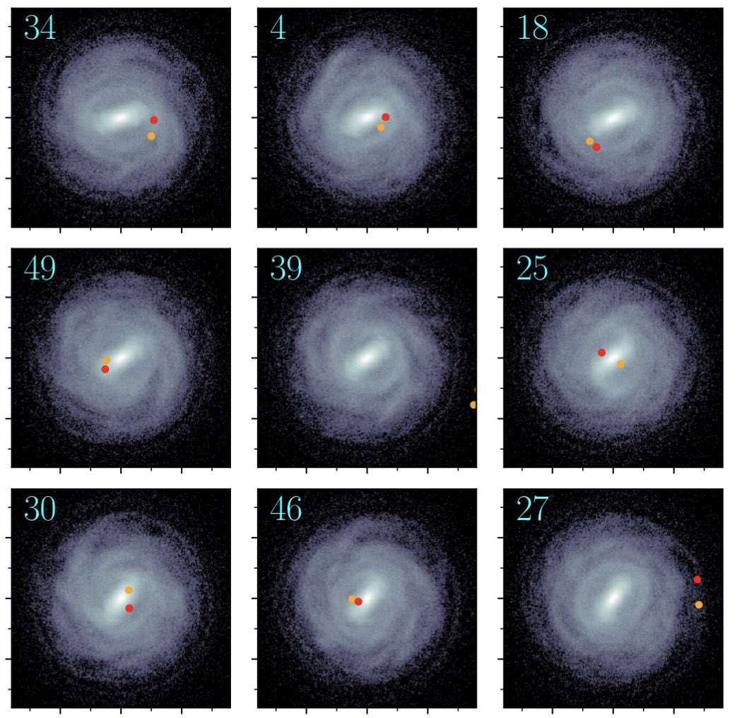 XploraSpace's tweet photo. ⭐️🌀 L’effet papillon galactique : une seule étoile peut remodeler toute une galaxie !

🔹 Des astronomes de l’Université de Leiden ont découvert que le destin d’une galaxie entière peut basculer à cause d’un infime détail : la position ou la présence d’une seule étoile.

🔹 Dans des simulations précises de galaxies semblables à la Voie lactée, les chercheurs ont comparé des modèles presque identiques, ne différant que par un minuscule décalage dans la position d’une étoile. Au fil du temps, cette petite variation s’amplifie et modifie profondément la structure des bras spiraux ainsi que la rotation de la barre centrale.

🔹 Ce phénomène rappelle l’effet papillon : une cause minuscule entraîne des conséquences majeures dans un système chaotique. Contrairement à l’idée classique selon laquelle les centaines de milliards d’étoiles s’équilibreraient en un comportement fluide, la galaxie se révèle hautement sensible aux perturbations initiales.

🔹 Les simulations montrent que la galaxie modélisée devient imprévisible après environ un million d’années seulement, un laps de temps infime à l’échelle cosmique.

👉 L’étude révèle toutefois que ces différences ne s’amplifient pas à l’infini : l’effet papillon rencontre bel et bien des limites. Les galaxies conservent leur forme globale de spirale malgré les variations de détails.

📄 : T. Asano et al, The exponential growth of infinitesimal perturbations in the long-term evolution of simulated galaxies, Astronomy & Astrophysics
📷 : Visualisation de plusieurs simulations presque identiques d’une galaxie. Le point orange et le point rouge représentent systématiquement la même étoile dans deux simulations qui ne diffèrent que très légèrement l’une de l’autre. Crédit : UL, Portegies Zwart, Asano.