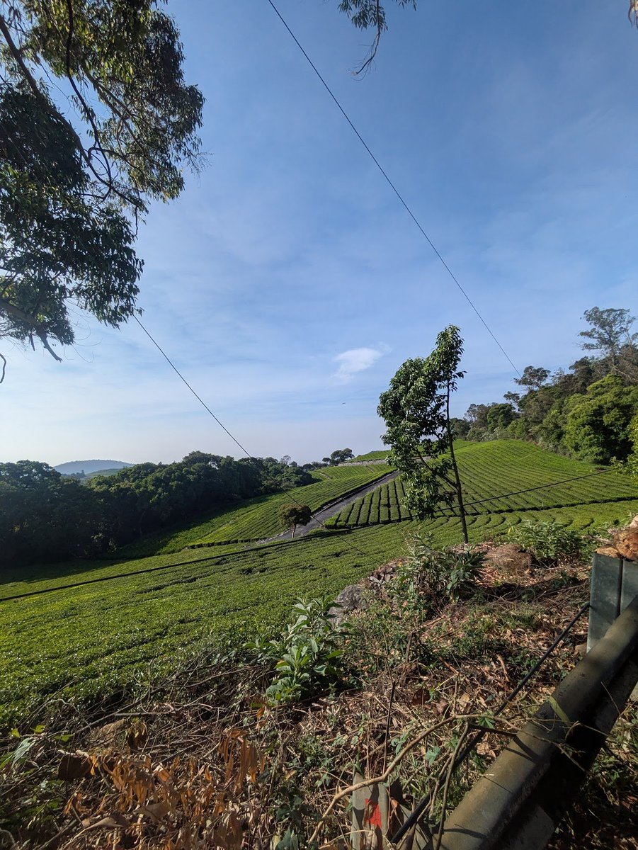 notjustavocado's tweet photo. Ooty : Nilgiris, throttle therapy. https://t.co/bs69djgZgw