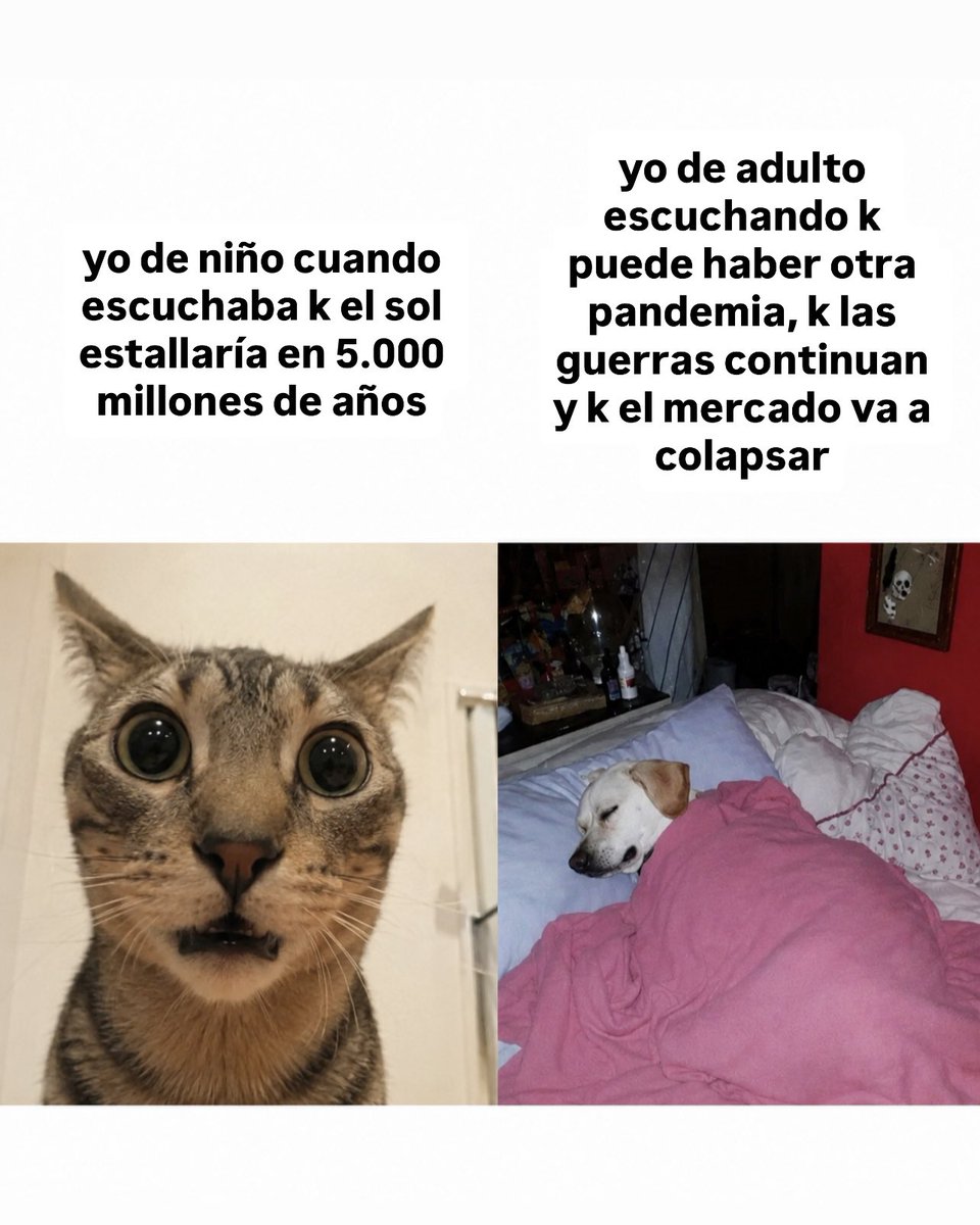 jezucrihto xd tweet media