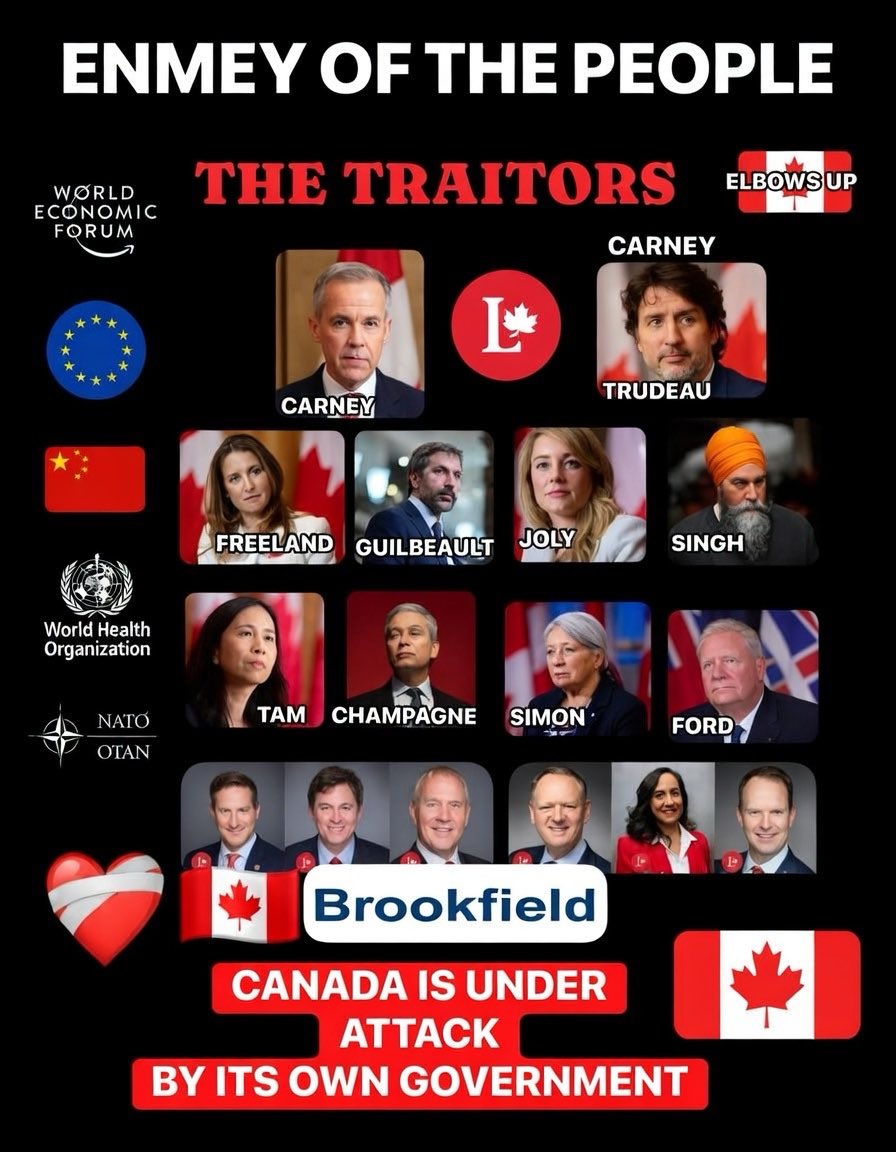 Steve B ❤️🇨🇦 tweet media