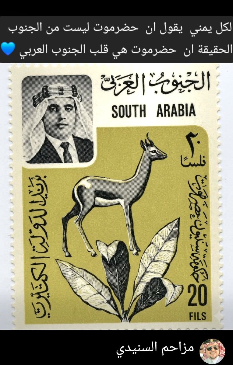 مزاحم الكلدي tweet media