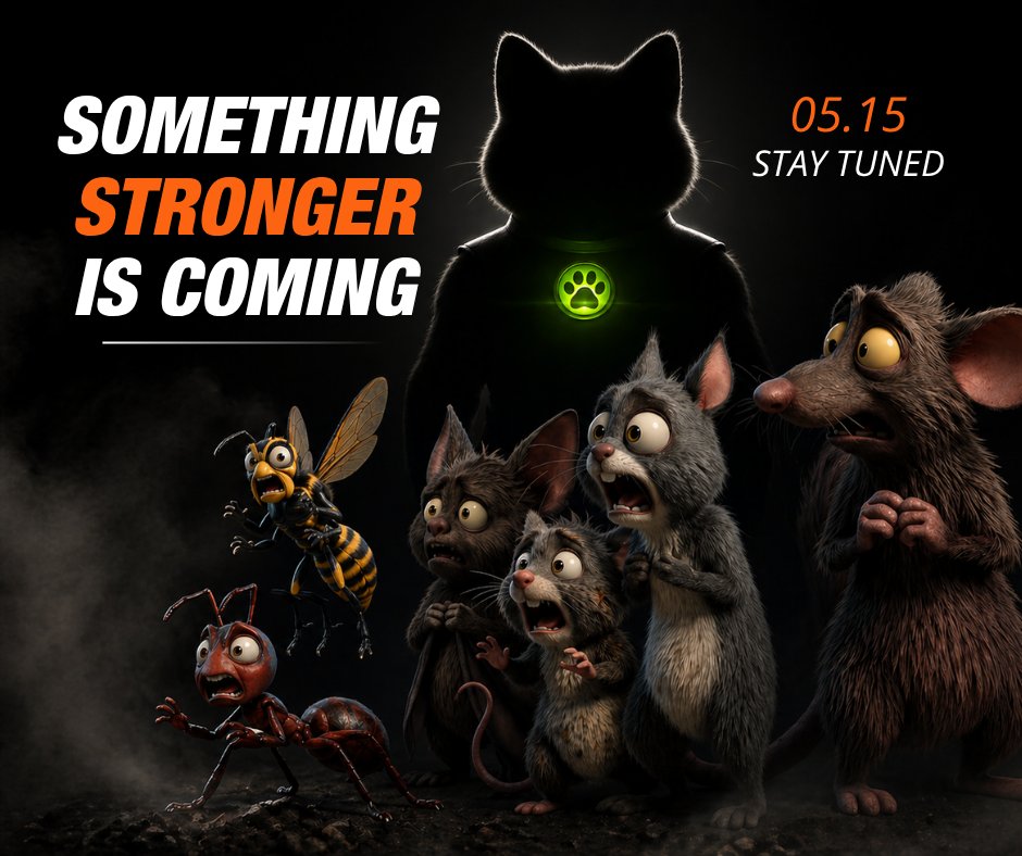 Catseye Pest Control tweet media