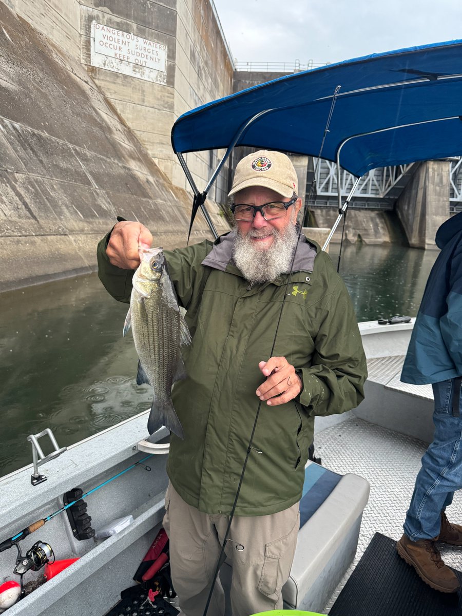 Capt_Billy_TN's tweet photo. I had a retired teacher and one of his students on my boat!  We had a successful "mixed bag" multi-species trip that ended with a bang (previous post!).  What an awesome morning on the water! https://t.co/D4jNvYQ0kV #guidelife #okumafishingusa @OkumaFishingUSA https://t.co/0Mn0pMDPPN