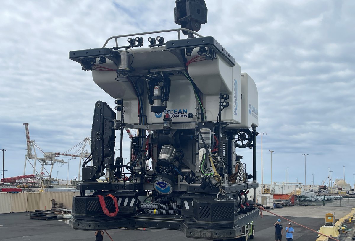 NOAA Ocean Exploration tweet media