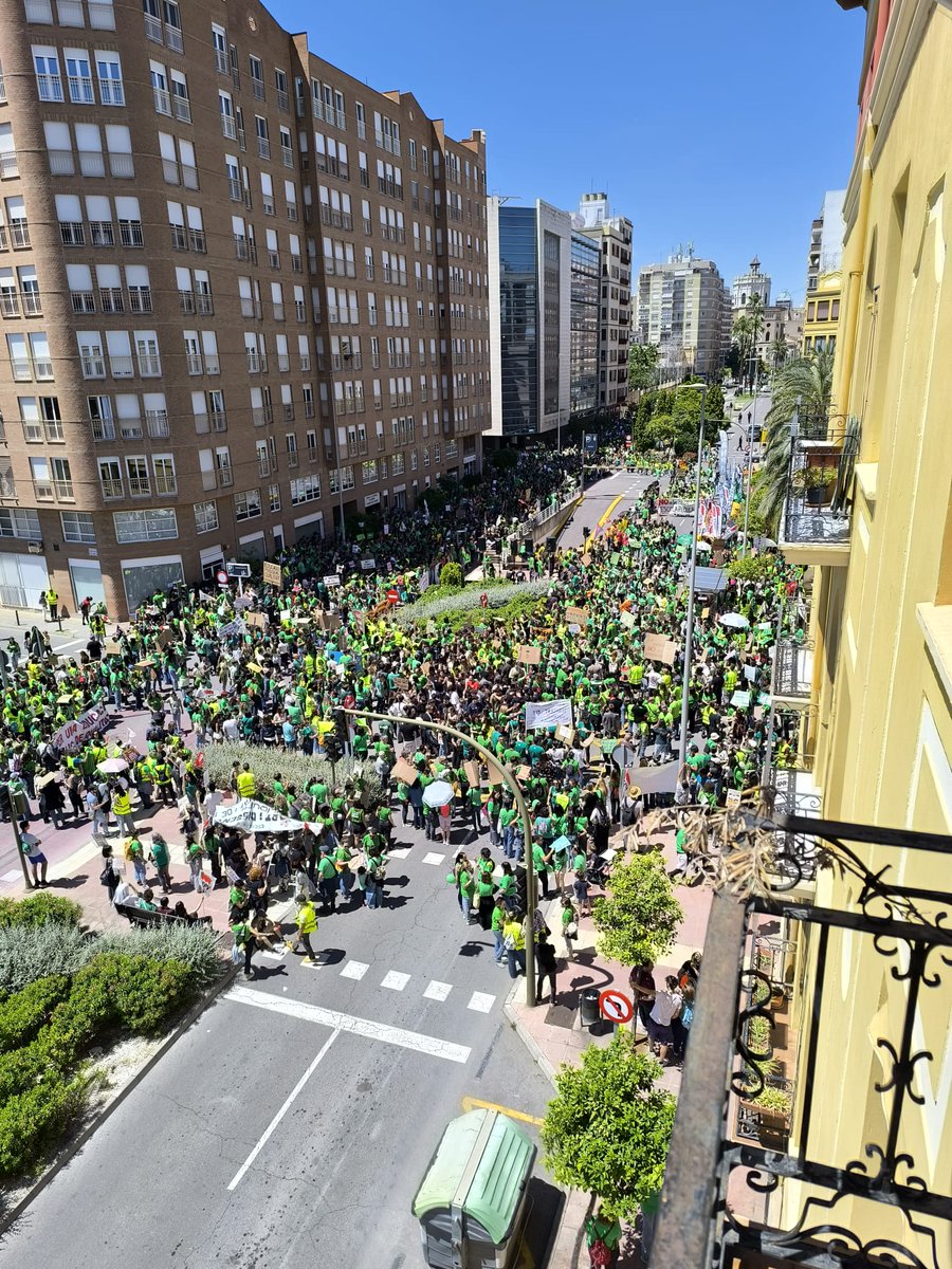 STEPV_Iv's tweet photo. Els carrers d’Elx, Alacant, València i Castelló s’han omplert de milers de manifestants que reclamen millores en l’educació pública valenciana, després de 8 mesos d’inacció per part de la Conselleria d’Educació.

Una jornada històrica i inèdita!

#VagaIndefinida11Maig https://t.co/WdWHgvhBW9