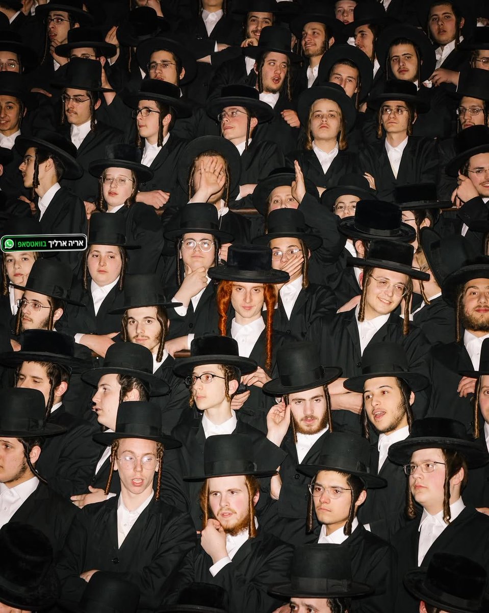 אריה ארליך A. Erlich tweet media