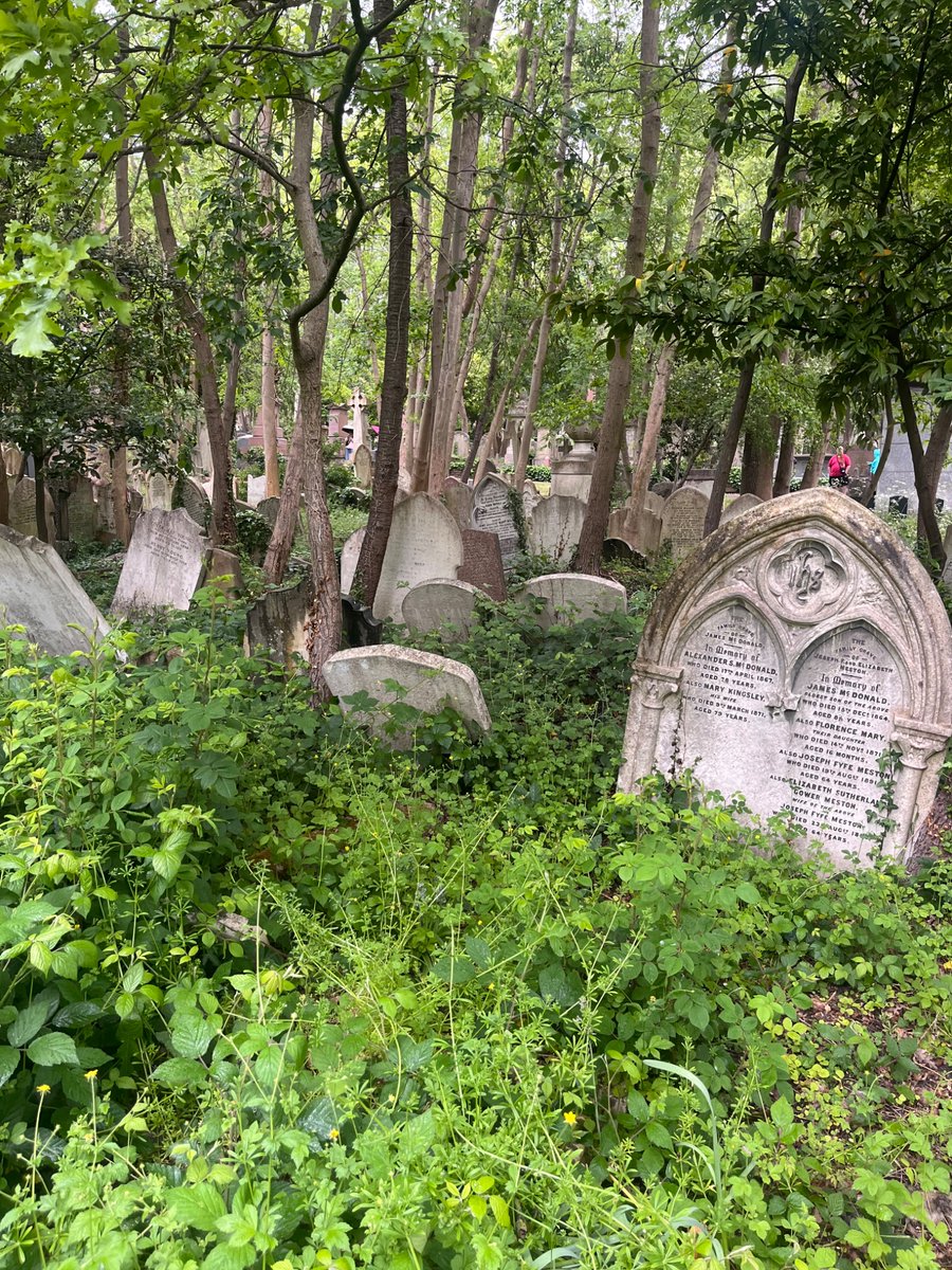 SsbmSweat's tweet photo. Visited some ghastly tombs today https://t.co/lGWTbIyQgd