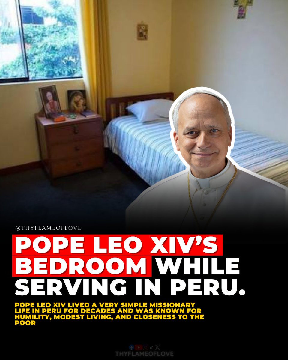 Dana Rachel 🇻🇦 tweet media
