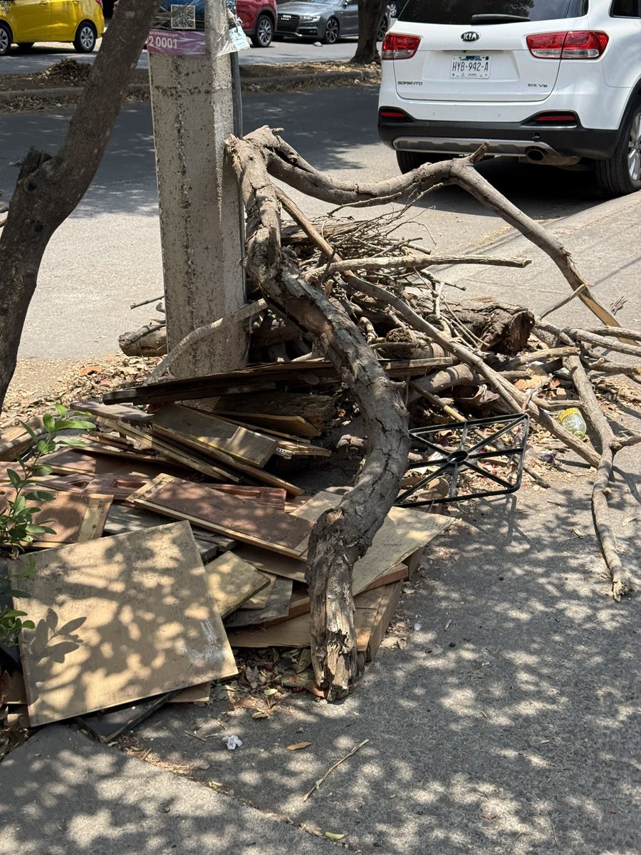 FonsecaCMX's tweet photo. Oye @GuadalajaraGob hace semanas que hice reporte de esta madera y ramas sobre la banqueta y continúan donde mismo, esto sobre Av. Historiadores casi en la esquina con Bernardo Reyes, justamente a espaldas de la Escuela Urbana 1034 @Trafico_ZMG https://t.co/F4jrWy7NgE