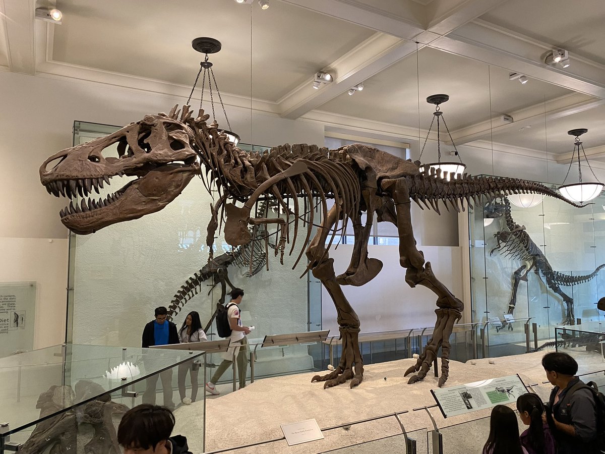 Taylor McCoy 🦖 tweet media