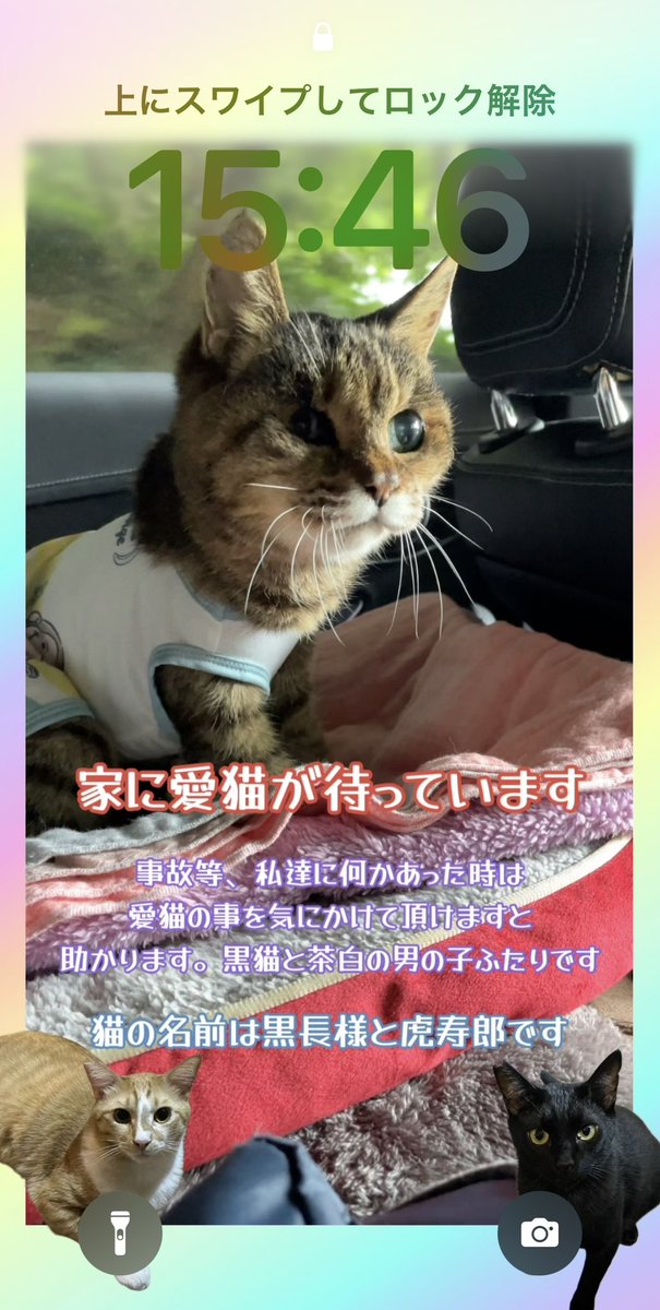ムーちゃんmusic (@catgarden2020) / Posts / X