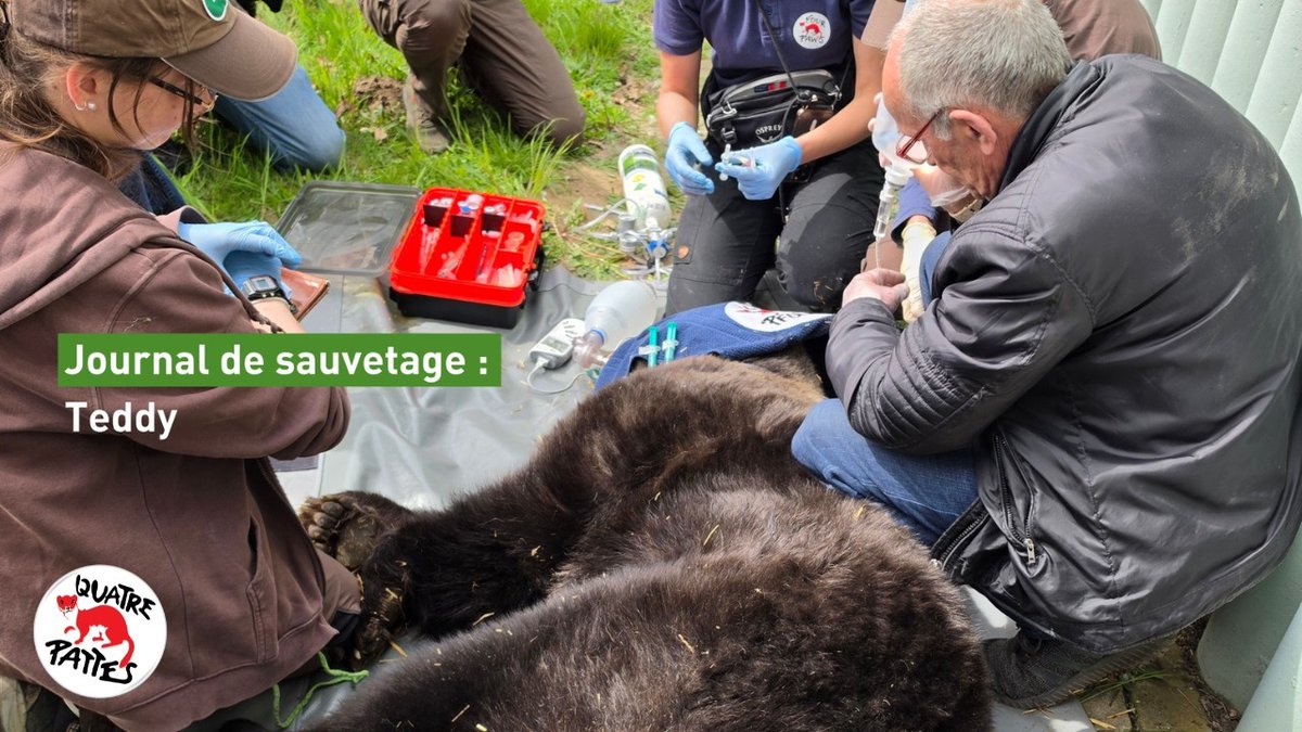 FOUR PAWS International tweet media