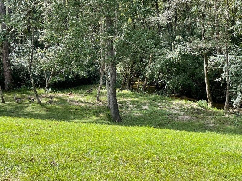 SeniorBrookside's tweet photo. Brookside Senior Living Community offers independent living designed for comfort, connection, and freedom—with beautifully maintained grounds, private homes, and a welcoming atmosphere. 

Schedule a visit today: https://t.co/sNe5OJf2mq

#SeniorLiving #IndependentLiving https://t.co/GTua451asx
