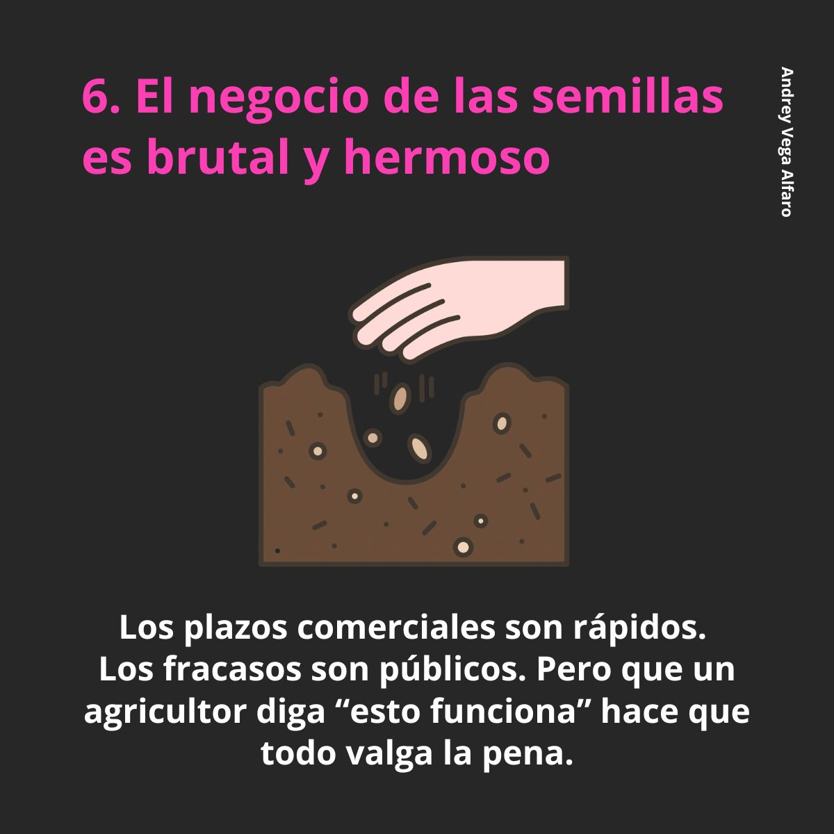 AMSAC Semilleros tweet media